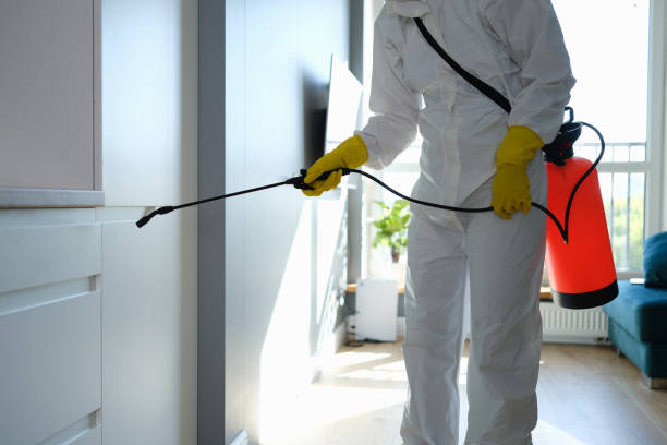 Best Mold Damage Repair  in Mineral Point, WI